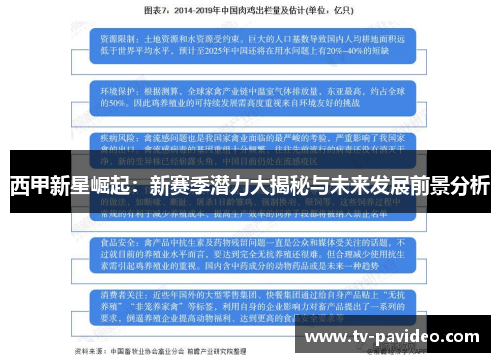 西甲新星崛起：新赛季潜力大揭秘与未来发展前景分析