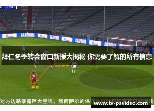 拜仁冬季转会窗口新援大揭秘 你需要了解的所有信息