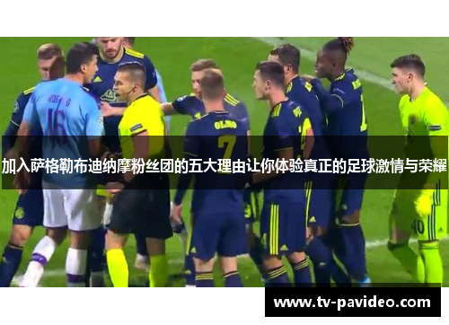 加入萨格勒布迪纳摩粉丝团的五大理由让你体验真正的足球激情与荣耀
