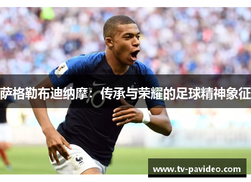 萨格勒布迪纳摩：传承与荣耀的足球精神象征