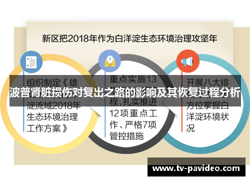 波普肾脏损伤对复出之路的影响及其恢复过程分析