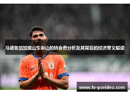 马德鲁加加盟山东泰山的转会费分析及其背后的经济意义解读