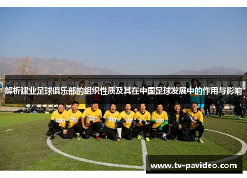 解析建业足球俱乐部的组织性质及其在中国足球发展中的作用与影响